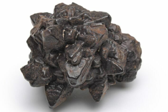 Goethite (Limonite) Pseudomorph after Pyrite/Marcasite - Egypt #219743